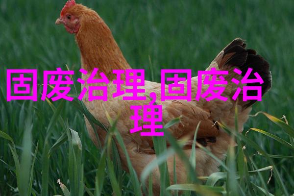 图五: 食品加工行业中的液体分离系统