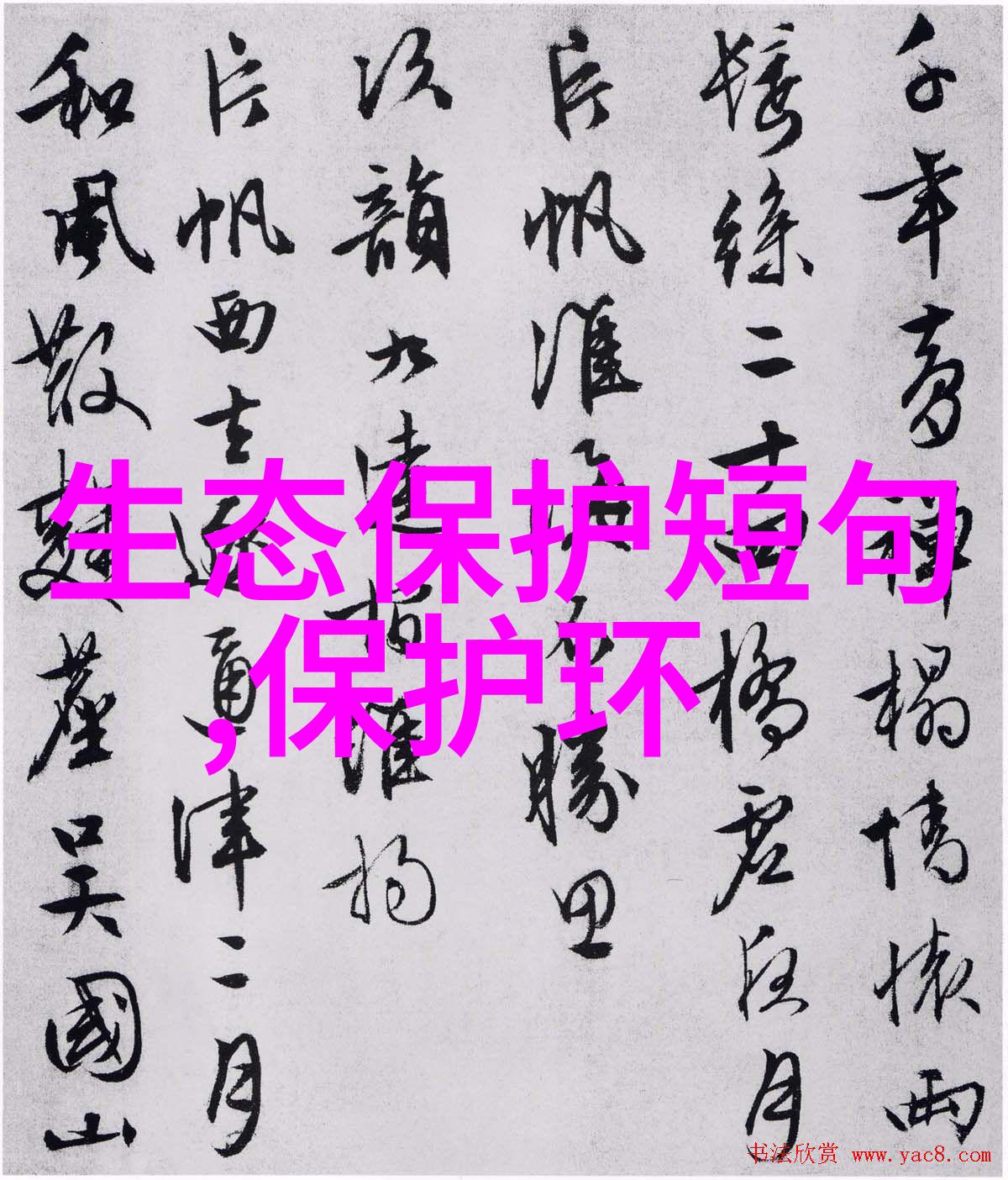 分析天平
