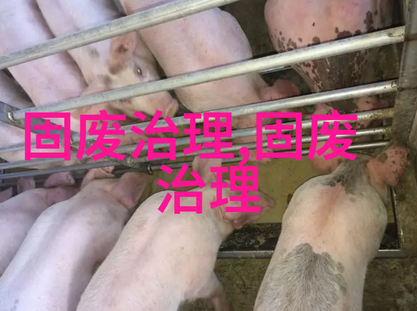 图1：家中摆放充满生机的小植物，为室内空气净化增添了一抹自然之美