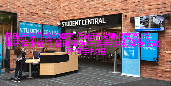 样品管架