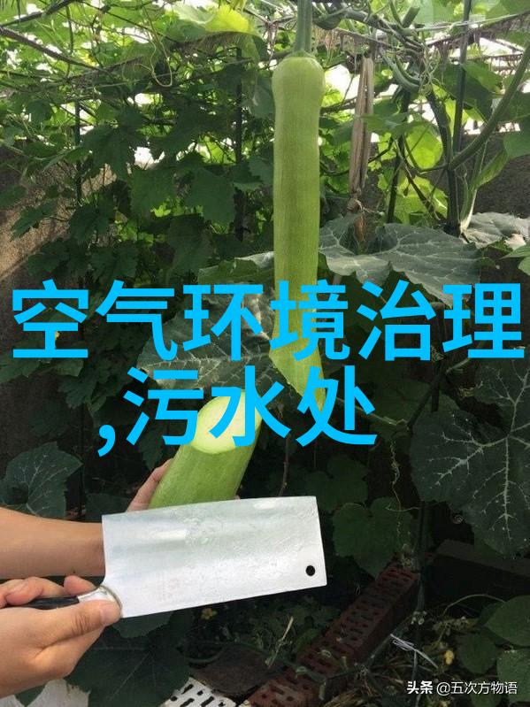 不锈钢管道过滤器