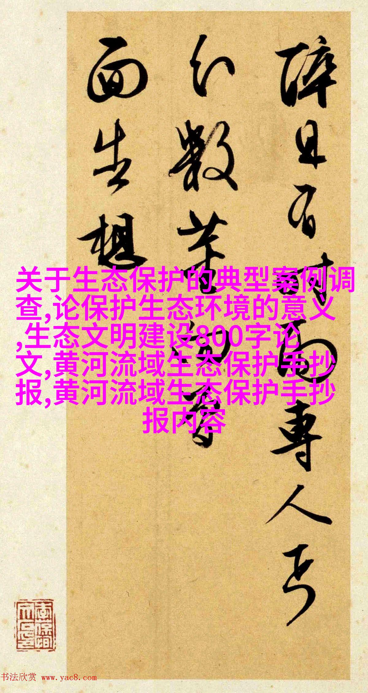 蒸发皿