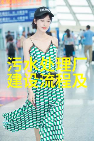 pH计